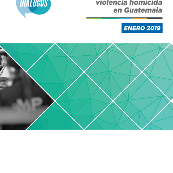 Informe sobre la violencia homicida en Guatemala (Enero 2019)