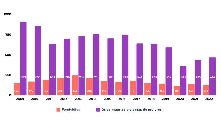 Muertes violentas de mujeres y femicidios: las vidas perdidas del 2022 ...