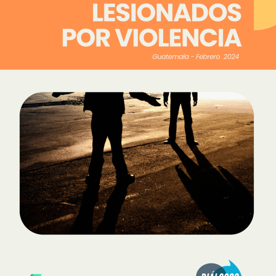 Informe sobre lesionados por violencia en Guatemala (febrero de 2024)
