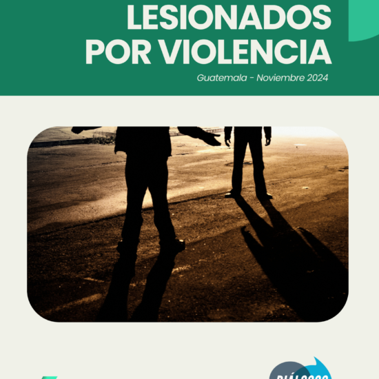 Informe sobre lesionados por violencia en Guatemala (noviembre de 2024)