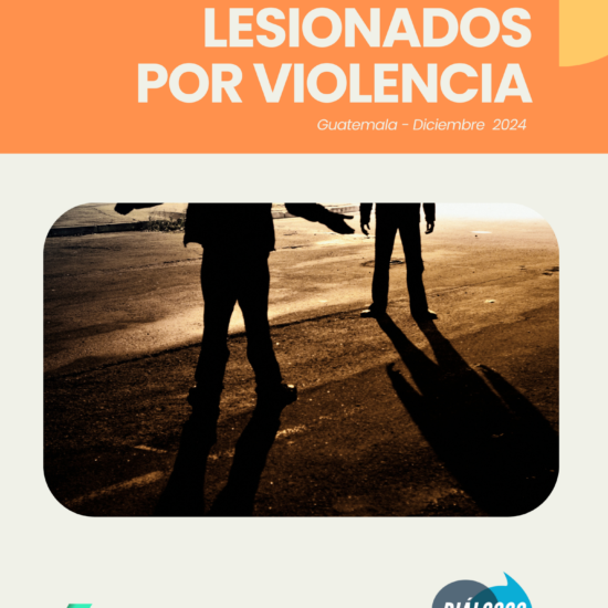 Informe sobre lesionados por violencia en Guatemala (diciembre de 2024)