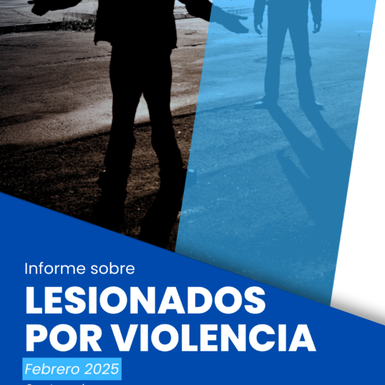 Informe sobre lesionados por violencia en Guatemala (febrero de 2025)