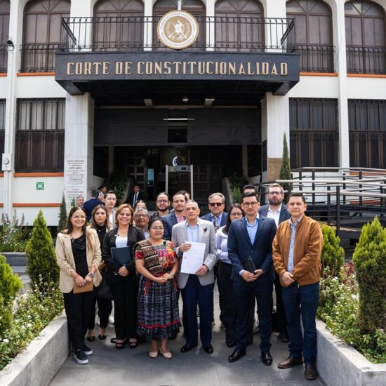 Sociedad civil pide a la CC resolver con prontitud la acción de inconstitucionalidad sobre Proveedores Transparentes