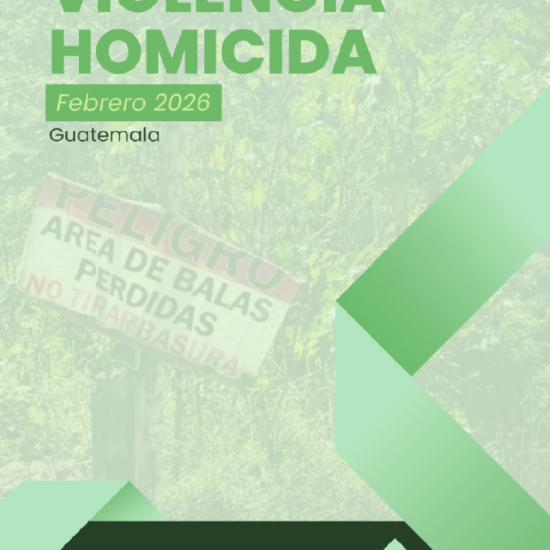 Informe sobre violencia homicida en Guatemala (febrero de 2026)
