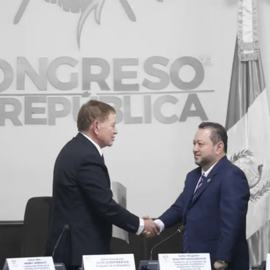 La trama de la designación de magistrados del Tribunal Supremo Electoral 2026